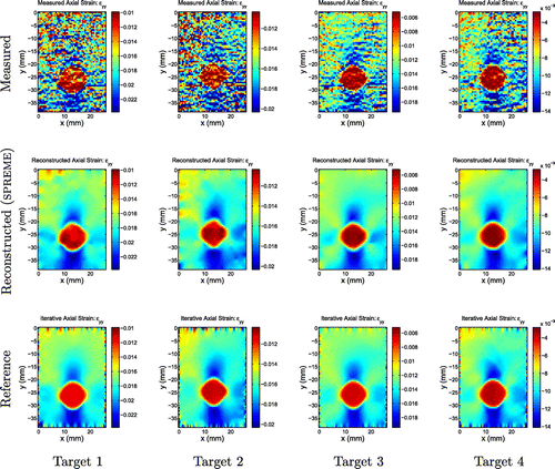 Figure 11. Axial strain fields. First row: Measured strains; second row: Strains reconstructed by SPREME; third row: Reference results from an iterative inversion algorithm. We note qualitative and quantitative agreements between the rows; we note also the presence of boundary artefacts in the reference fields that are not present in the SPREME fields.