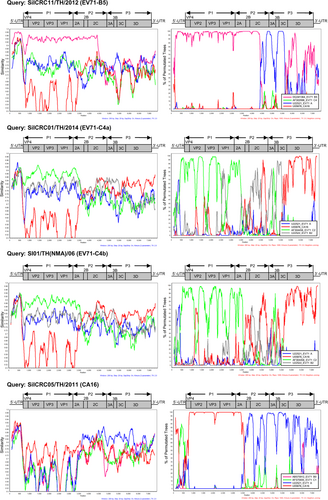 Fig. 4 Similarity plots and bootscan analyses of EV71 (B5 and C4 subgenotypes) and CA16 on the basis of complete genomes using SimPlot.The similarity was calculated in a sliding window size of 200 nucleotides using the Kimura 2-parameter distance method. Bootscan analysis was performed using the neighbor-joining tree model and the Kimura 2-parameter distance algorithm with a window size of 200 nucleotides