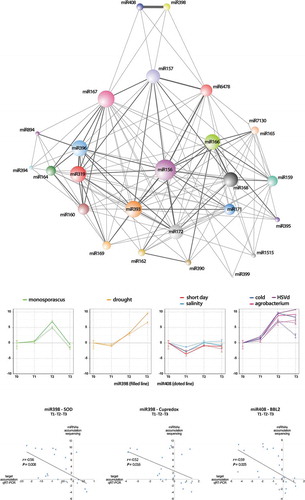 Figure 8. Network of expression profiling of stress-responsive miRNAs. (a) Nodes in the network represent differentially expressed miRNAs. Edges represent weighted associations between the terms based on response to common expression profiles in response to analysed stress conditions. Edges thickness is proportional to the number of shared expression profiles. (b) Time-course expression profiling of miR398 and miR408 clustered according to their expression profiles in response to the seven stress conditions analysed here. (c) Scatter plot showing the significant negative correlation (estimated by Pearson correlation coefficient) between the expression levels of Cu-miRNAs reactive to stress conditions (miR398 and miR408) according sequencing data and the accumulation of its predicted targets (estimated by qRT-PCR) during the period of exposition to the biotic and abiotic stress conditions analysed here (detailed information in Table S16).