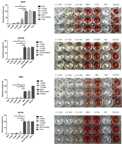 Fig. 4 Effect of resveratrol on the hemolytic activity of S.aureus strains.There were significant differences with the control group (grown without resveratrol) for each strain (P < 0.05). Each test was performed independently in triplicate