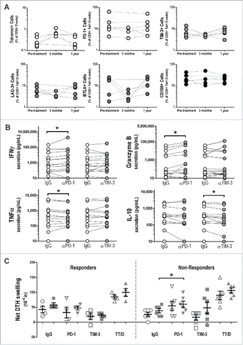 Figure 1. PAP-specific immune responses elicited following DNA vaccination are regulated by PD-1. (A) PBMC from HLA-A2+ patients (n = 6) were stained with tetramers for both p112-120 and p299-307, two HLA-A2-restricted PAP epitopes, and analyzed for their expression of various checkpoint molecules. Graphs show the frequency of PAP-specific CD8+ T cells (% of total CD8+) or the mean fluorescence intensity (MFI) of PD-1, TIM-3, LAG-3, BTLA, or CD160 on the surface of antigen-specific CD8+ T cells from pre-treatment, and 3 mo and 1 y post-treatment, samples. (B) 1 y post-treatment PBMC were stimulated with recombinant PAP protein in the presence of PD-1 or TIM-3 blocking antibodies (or IgG control), and cytokine secretion after 72 h (36 h for TNFα) was assessed by ELISA. Graphs show the cytokine secretion for each individual patient. *p < 0.05 using a Wilcoxon signed-rank test. (C) Pre-treatment (open circles) or 1 y post-treatment (closed circles) PBMC were injected into the footpads of SCID mice with recombinant PAP protein (or TT/D as positive control) and the indicated antibody (or IgG control), and DTH swelling responses were measured after 24 h. Results are shown for patients who did (responders, n = 4) and did not (non-responders, n = 6) develop a persistent PAP-specific T cell immune response; *p < 0.05 using a paired t test.