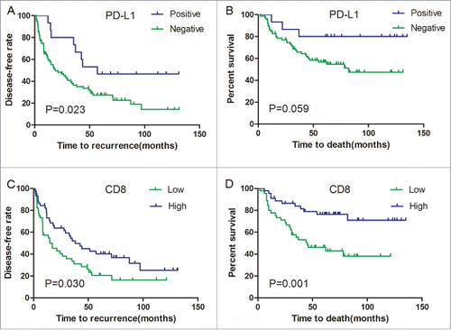 Figure 5. PD-L1 and CD8+ density are correlated with superior disease-free survival (DFS) and overall survival (OS) of HCC patients. (A, B) Kaplan–Meier curves for the analysis of HCC patients. (A) DFS and (B) OS according to PD-L1 protein levels. p values were calculated by log-rank test. (C, D) Kaplan–Meier curves for the analysis of (C) DFS and (D) OS in HCC patients according to CD8+ density. p values were calculated by log-rank test.