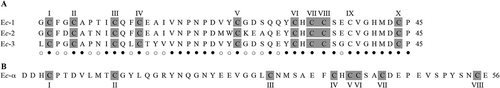 Figure 6. Amino acid sequences of Euplotes crassus pheromones. A, sequence alignments of pheromones which are presumed to be specified by alleles at a mat locus orthologous to that one of other Euplotes species. Cysteine residues are shadowed and residue numbers of each sequence are reported on the right. Fully conserved residues are marked by filled dots, and light dots indicate the positions characterized by variations of a single amino acid. B, sequence of the Ec-α pheromone, the only pheromone with a known primary structure among those which are presumed to be specified by alleles at a duplicated (paralogous) mat locus.