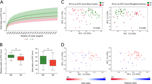 Fig. 1 The gut microbiota in splenectomy patients differs from that of healthy controls(A) Rarefaction curves were used to compare species richness between the SP and HC groups. (B) Wilcoxon’s test shows that the differences in the Sobs and Shannon indices between the SP and HC groups were significant at the OTU level (**P value < 0.01, Wilcoxon rank sum test). (C) A principal coordinate analysis (PCoA) for the HC and SP groups, with plots based on both the Bray−Curtis distance (Pr(>F) = 0.001) and Weight-UniFrac distance matrices (Pr(>F) = 0.009, PERMANOVA test). The first two coordinates are plotted with the percentage of variability as indicated on the axis. Each point represents a sample, and the colors represent different groups. (D) The Sobs and Shannon indices for each sample are represented by points on a Bray−Curtis distance PCoA, where a blue point represents a low value, a white point represents a mid-value and a red point represent a high value
