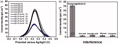Figure 9. (a) Regenerability of the immunoelectrode and (b) analytical signals of 25 ng mL−1 immunoglobulin G, 0.10 mM uric acid, 0.10 mM ascorbic acid, 0.10 mM glucose and 0.10 mM L-cysteine measured by the developed immunosensor.