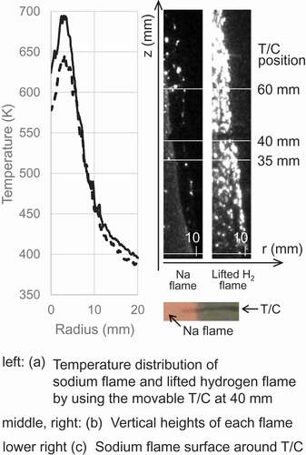 Figure 7. Typical temperature distribution along the radial direction.