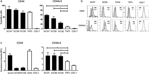 Figure 1. CD44 and CD44v3 expression on cell lines and on exosomes produced by these cell lines. In a: Percentages of CD44+ and CD44v3+ cells in cultures of various cell lines as determined by flow cytometry. The data are means ± SD of four experiments performed with each cell line. In b: Representative flow cytometry results for CD44+ and CD44v3+ exosomes stained with labeled anti-CD44 or anti-CD44v3 Abs, respectively, and examined by on-bead flow cytometry. Note higher RFI values for CD44v3 exosomes, except in case of SSC47 exosomes. *p < .01. In c: Comparisons of RFI values for CD44+ and CD44v3+ exosomes produced by the cell lines shown in a. Note that exosomes produced by HNSCC cell lines are uniformly positive for CD44v3. The data are means ± SD of three flow cytometry assays for each exosome preparation