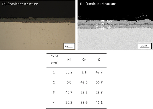 Figure 2. (A) Cross-sectional optical micrograph and (b) SEM image of 100 wt.% chloride salt covered Ni-25Cr (dominant structure) after 300 h reaction in Ar-60CO2-20 H2O at 650°C.
