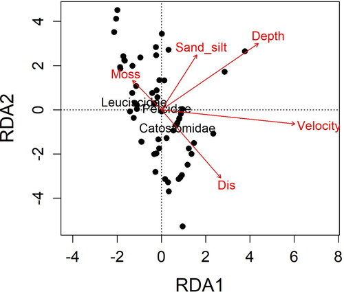 Figure 4. Distance-based redundancy analysis (RDA) for larval fish abundance in Twelvemile Creek, South Carolina (log +1) using Bray–Curtis dissimilarity and constrained by microhabitat variables: distance from shore (Dis), water depth (Depth), % bedrock substrate (Bed), % Podostemum (Moss), % sand-silt substrate (Sand-silt), and water velocity (Velocity).