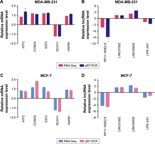 Figure 3 qRT-PCR was performed to confirm the validity of the RNA-Seq data in MDA-MB-231 and MCF-7 cells. The mRNAs (A, C) and lncRNAs (B, D) were expressed as log2 values (RNA-Seq) and −ΔΔCt values (qRT-PCR).