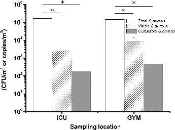 FIG. 6. Total, viable, and culturable airborne S. aureus concentrations detected in samples from the ICU and GYM. *p < 0.05 compared with the respective groups. The experiments were performed in triplicate, and the data are shown as the mean ± standard error of the mean.