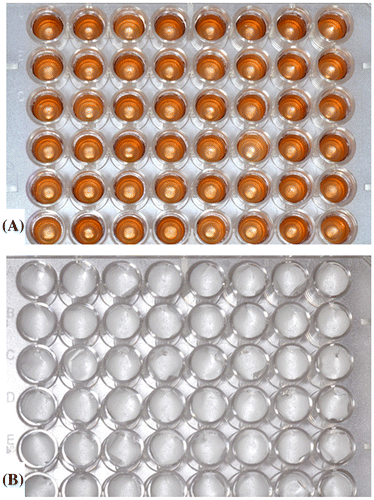 Figure 2. Larval sterile tissue culture plate with a plastic cell cup placed within each well (A), and pupal sterile tissue culture plate with a 2 × 1 cm piece of Kimwipe® placed within each well (B).