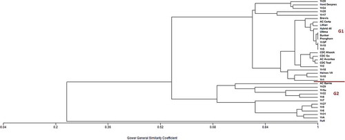 Fig. 2 (Colour online) Cluster analyses of wheat differentials based on stripe rust severity, using the unweighted pair-grouping from mathematical average (UPGMA) algorithm, at common site-years in 2013, 2014 and 2016 in Saskatchewan. The x-axis of the plot shows the similarity among the genes based on Gower’s coefficient. Group 1 (G1) consisted of genes/differentials which are effective or partially effective to existing stripe rust races in Saskatchewan whereas Group 2 (G2) consisted of defeated genes/differentials.