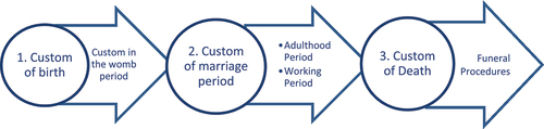 Chart 2. Human life cycle.