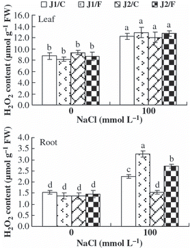Figure 3 H2O2 content in the leaves and roots of the grafted cucumber seedlings under 0 mmol L−1 and 100 mmol L−1 NaCl stress. Values are the mean ± standard error (n = 3). Bars with the same letters indicate no significant difference according to Duncan’s multiple range test (P < 0.05). J1/C, Jinyu No. 1 grafted onto Chaojiquanwang; J1/F, Jinyu No. 1 grafted onto Figleaf Gourd; J2/C, Jinchun No. 2 grafted onto Chaojiquanwang; J2/F, Jinchun No. 2 grafted onto Figleaf Gourd; FW, fresh weight.