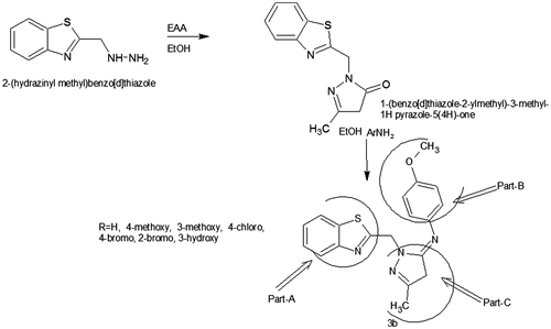 Scheme 1. Synthesis of 1-(benzo[d]thiazol-2-yl)methyl)-4,5-dihydro-3-methyl-N-1H-Pyrazol-5-imines-benzothiazole methyl N-pyrazole imines (3a-h).