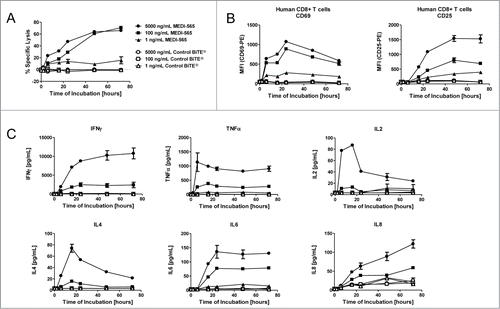 Figure 3. Kinetics of MEDI-565 mediated T cell cytotoxicity, activation and cytokine release. All data presented in this figure were collected from the same representative co-culture experiment; unstimulated human CD3+ T cells at an E:T ratio of 10:1 cultured with the indicated concentrations of MEDI-565 listed in panel A. Symbols listed in panel A are also used in panels B and C. (A) Percent specific lysis over time of DiO-labeled CHO/huCEA target cells incubated with CD3-enriched human T cells and the indicated concentrations of MEDI-565 or control BiTE® antibody construct. (B) Activation of CD8+ T cells over time as measured by upregulation of the T cell activation markers CD69 or CD25, at the indicated concentrations of MEDI-565 or control BiTE® antibody construct. (C) Secretion of cytokines, as indicated, into cell culture supernatants over time.