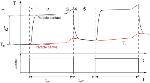 Figure 3. Schematic representation of the temperature evolution in the contact zone between two particles (black) as well as in the centre of the particle (red) during heating by a pulsed electric current. After an instationary phase when only the particle contacts are heated up (1) the generation of heat in the contact and its dissipation become equal (2, stationary phase). Still the centre of the particle is only slightly heated by the low current density passing through it. As soon as the heat front reaches the centre, the whole particle is heated up more or less equally (3, it deviates from being equally heated only because of the temperature dependent material parameters). When the current is turned of, the temperature in the contact zone rapidly decreases (4) until the whole particle will have a uniform temperature distribution, cooling slowly by heat loss through the electrodes or radiation from the surface of the die (5).
