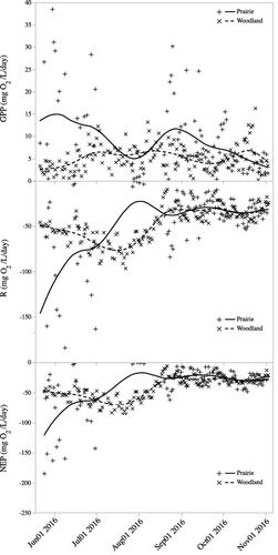 Figure 7. Daily rates of gross primary production (GPP), respiration (R) and net ecosystem production (NEP) for the prairie and woodland ponds from May 21 to November 2. Lines are cubic spline fits to show the pattern of change.