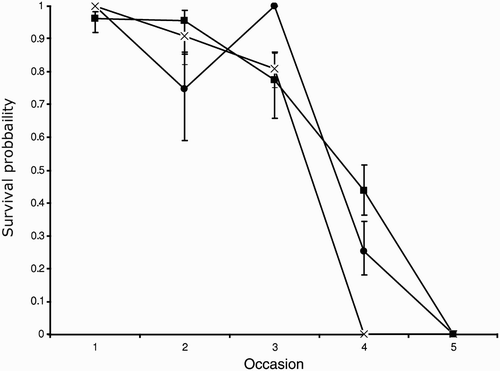 Figure 2. Estimates of survival for each recapture occasion according to crèche from a time-dependent model (model 1). Symbols: ▪ = crèche A (large and early formed colony), ▪ = crèche B (small and early formed colony), x = crèche C (small and late-formed colony).