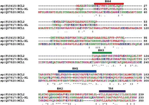 Figure 1.  Sequential alignment of BCL-2, BCL-XL, and MCL-1 proteins according to ClustalW with conserved homology domains.