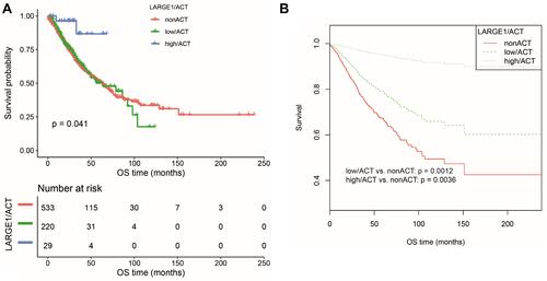 Figure 4 OS difference in TNM I–III NSCLC patients stratified by combining LARGE1 expression and adjuvant chemotherapy (ACT), ie, non-ACT, low LARGE1/ACT, and high LARGE1/ACT. (A and B) LARGE1 expression was split into high and low groups by optimal cutoff value; OS difference of patients with non-ACT, low LARGE1/ACT, and high LARGE1/ACT was analyzed by Kaplan-Meier curve (A), which was also analyzed by adjusting the confounding factors (B).