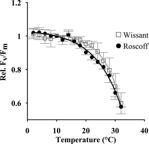 Fig. 5. Relative optimal quantum yield (rel. Fv/Fm) of gametophytes of L. digitata from Wissant (□) and Roscoff (●) (n = 3). Gametophytes initially kept at 10°C were separately exposed to increases and decreases in temperature (2°C steps at 15 min intervals). Data were fitted using a non-linear regression analysis (y = a*e(b*x/c) + d).