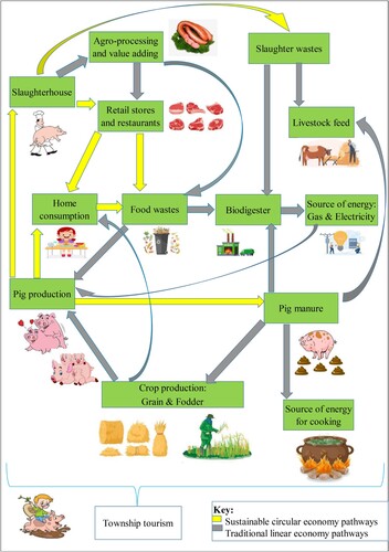 Figure 2. Bioeconomic circularity flow diagram in the small-scale urban pig farming.