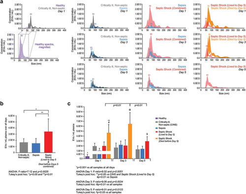 Figure 3. Septic shock patients have increased circulating plasma EVs. (a) Analysis for concentration and size distribution of plasma EVs. Plasma EVs from critically ill non-septic, sepsis and septic shock patients were isolated and collected as described in Methods. EVs were subjected to NanoSight (light scatter) analysis for determination of total EVs mL−1 plasma and their respective diameter sizes ranging from ~30 to 400 µm. A NanoSight spectrum was collected for each patient in the cohort. Those individual spectra were placed at the correct scale on the same axes. At each nm, the highest and lowest EV population was included by shading in that area in which was populated between the samples so that each spectrum represents the actual variation of all donors in that cohort. Dotted line and box indicate magnification of the healthy donor EV spectrum (purple) by 1,000-fold compared to the EV spectrum from critically ill, non-septic patients (grey) (first column). Spectra represent N = 4 for healthy donors and N = 3 for critically ill, non-septic at day 1. Comparison of critically ill, non-septic (grey) and sepsis (blue) EV spectrums at each day 1, 3, and 5 (second column). Spectra represent N = 3 at each day for critically ill, non-septic and N = 4 at each day for sepsis. Comparison of sepsis (blue) and septic shock (patients who lived and died by day 5, combined) (red) EV spectrums at each day 1, 3, and 5 (third column). Spectra represent N = 4 for sepsis at each day and N = 7 for septic shock (combined lived to day 5 and died by day 5) at days 1 and 3 and N = 4 for day 5. Comparison of septic shock patients who lived to day 5 (red) and septic shock patients who died before day 5 (orange) EV spectrums at each day 1 and 3 (right column). Spectra represent N = 4 for septic shock who lived to day 5 and N = 3 for septic shock who died by day 5. (b) EVs mL−1 plasma over all days combined by severity. Septic shock patients (both those who lived to day 5 and those who died before day 5, combined (red) had more EVs mL−1 than critically ill, non-septic (grey) or sepsis (blue) patients. ANOVA: F-ratio = 7.12 and two-tailed P < 0.0025; and *P < 0.05 and **P < 0.01 (Tukey’s post hoc). N = 9 for critically ill, non-septic; N = 12 for sepsis, N = 18 for septic shock (N = 4 at each day 1, 3, and 5 for patients who lived to day 5 and N = 3 at each day 1 and 3 for patients who died before day 5). (c) Extracellular vesicles mL−1 plasma at each day (1, 3, and 5). The healthy donor cohort (purple) had significantly less EVs/mL than all other samples (*P < 0.001). At day 1, the septic shock patients who died before day 5 (orange) had significantly more EVs/mL than the critically ill, non-septic (grey), sepsis (blue), and septic shock patients who lived to day 5 (red). ANOVA: F-ratio = 8.02 and two-tailed P < 0.0051; and **P < 0.05 vs critically ill non-septic (CINS) and septic shock patients who lived to day 5, and #P < 0.01 vs sepsis (Tukey’s post hoc). At Day 3, the septic shock patients who died before day 5 (orange) had significantly more EVs/mL than the critically ill, non-septic (grey), sepsis (blue), and septic shock patients who lived to day 5 (red). ANOVA: F-ratio = 9.06 and two-tailed P < 0.0034; and P < 0.01 vs all other samples (Tukey’s post hoc). At Day 5, the septic shock patients who lived to day 5 (red) had significantly more EVs/mL than the critically ill, non-septic (grey) and sepsis (blue). ANOVA: F-ratio = 8.01 and two-tailed P < 0.0123; and $P < 0.05 vs all other samples (Tukey’s post hoc). N = 4 for Healthy donors, N = 9 for critically ill, non-septic; N = 12 for sepsis, N = 18 for septic shock (N = 4 at each day 1, 3, and 5 for patients who lived to day 5 and N = 3 at each day 1 and 3 for patients who died before day 5).