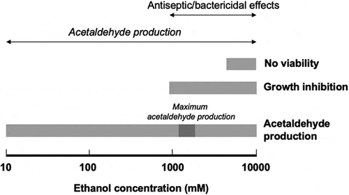 Figure 4. Bifacial biological effects of ethanol