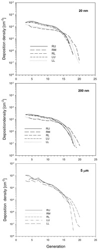 Figure 12. Deposition densities of 20, 200, and 5 µm unit density particles for oral sitting breathing and non-uniform ventilation conditions among bronchial airway generations in the five lobes of the human lung.