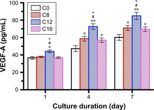 Figure 8 VEGF-A secretion of rBMSCs on various coatings detected by ELISA at days 1, 4 and 7.Notes: *P<0.05, **P<0.01 when compared with C0. #P<0.05 when compared with C8. +P<0.05 when compared with C16. C0, HA coating; C8–C16, differently CHA coatings.Abbreviations: CHA, carbonated hydroxyapatite; ELISA, enzyme-linked immunosorbent assay; HA, hydroxyapatite; rBMSCs, rat bone-marrow-derived mesen-chymal stem cells; VEGF-A, vascular endothelial growth factor-A.