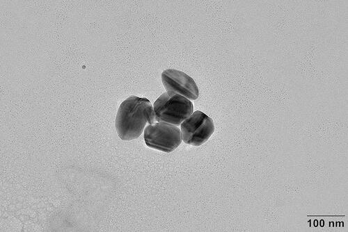 Figure 1 The transmission electron microscope (TEM) of Ag nanoparticles.