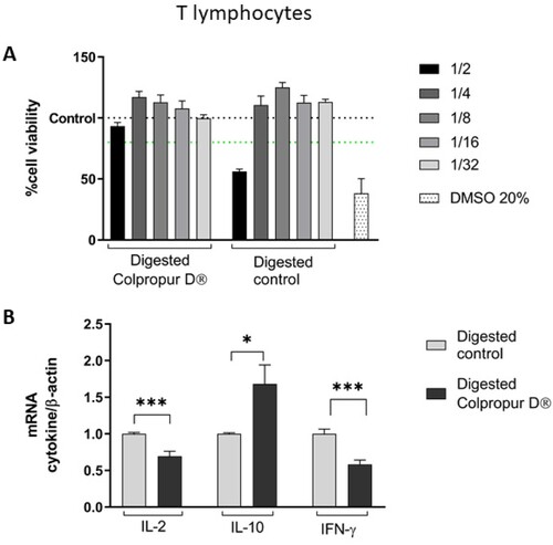 Figure 2. (A) Cell viability and (B) changes in mRNA cytokine expression of digested COLPROPUR D® samples (aprox. 2.5 mg/mL) in Jurkat lymphocytes after 2 h in contact. DMSO: dimethyl sulphoxide ***p ≤ 0.001; *p ≤ 0.05. n = 6.