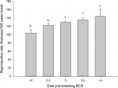 Figure 4 The effect of ewe lamb breeding BCS (≤2.0, 2.5, 3.0, 3.5 or ≥4.0) on reproductive rate (fetuses per 100 ewes presented for breeding), back transformed logit mean ± 95% confidence interval. Bars with different letters are significantly different (P < 0.05).