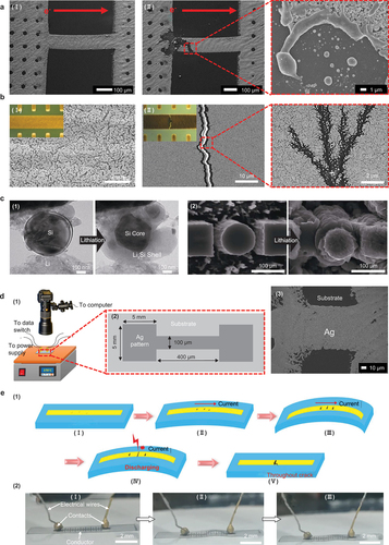 Figure 9. Electrical failure mechanisms and characterization methods. (a) microstructural illustrations of silver-printed interconnects pre-failure (I) and post open-circuit failure (II), along with a SEM image at the cathode (III). Adapted with permission. Copyright 2019, Springer Verlag [Citation48]. (b) Electrothermal coupling failure mechanism of stretchable thin-film conductors: (I) SEM image of an initially planar electrode (inset) displaying random intrinsic nano-cracks on the electrode; (II) SEM image of the fracture region (inset) post failure, along with a SEM image presenting dispersed metal particles within the crack, induced by electrical discharge. Adapted with permission. Copyright 2022, American chemical Society [Citation312]. (c) (1) TEM images of the lithiation process of spherical silicon particles: expansion and cracking of the outer layer of the particles occurs. Adapted with permission. Copyright 2012, American chemical Society [Citation315]. (2) SEM images of nanowires in their initial and lithiated expanded states. Adapted with permission. Copyright 2015, Nature Publishing group [Citation316]. (d) (1) schematic diagram of the experimental setup for IR measurement during electromigration tests. (2) schematic representation of a dog-bone pattern structure of Ag interconnects. (3) SEM image of the microstructure of as-sintered interconnects. Adapted with permission. Copyright 2019, Springer Verlag [Citation48]. (e) schematic illustrations (1) and images (2) of the electrothermal coupling failure process of stretchable thin-film conductors. Adapted with permission. Copyright 2019, Springer Verlag [Citation312].