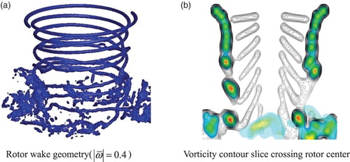 Figure 9. Predicted rotor-wake structure from the coupling method (Caradonna–Tung rotor in the hover case): (a) rotor-wake geometry () and (b) vorticity contour slice crossing the rotor center.