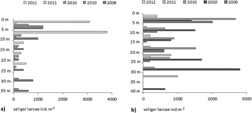 Figure 4. Vertical distribution of the abundance of the veliger larvae at the sites with the highest depths in Zhrebchevo Reservoir (a) and Ogosta Reservoir (b).