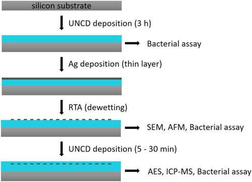 Figure 3. Process of UNCD-Ag-UNCD composites and the different investigations made at each step. Bacterial assays were performed on the UNCD surface, after silver deposition and dewetting, and once again after the UNCD top layer. Reproduced with permission from [Citation210].