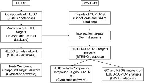 Figure 1 Workflow of this systematic analysis based on network pharmacology.