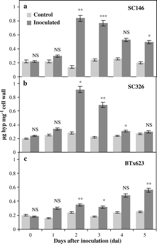 Figure 1.  Hydroxyproline content in leaves of sorghum as a reaction to anthracnose caused by C. sublineolum. The content of HRGPs, estimated as the content of hydroxyproline (Hyp) in (a) the resistant genotype SC146, (b) the intermediately resistant genotype SC326 and (c) the susceptible genotype BTx623 of sorghum in plants either treated with distilled water (controls) or inoculated with C. sublineolum. Statistical comparisons were made between the inoculated and control samples at each time point in each genotype. Data are the means of two replicates. The number of asterisks indicates the degree of significance. NS: non-significant difference, ***: significant at p≤0.001, **: significant at p≤0.01, *: significant at p≤0.05. Bars represent standard deviations.