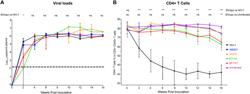 Fig. 1 Plasma viral load and CD4+ T-cell kinetics in hu-BLT mice infected with HIV-1 or one of four different strains of SIVcpz.(A) Mean plasma VL kinetics over the course of 16 weeks pi. Five groups of hu-BLT mice (n = 5/each group) were inoculated with a high dose of SIVcpz closely related to the ancestral viruses of HIV-1 groups M (SIVcpzMB897) and N (SIVcpzEK505), two lineages of SIVcpz strains that have not been associated with any known HIV-1 infections in humans (SIVcpzMT145 and SIVcpzBF1167), and HIV-1. Each group is color coded. The dashed line indicates the detection limit of pVL. Statistical significance is indicated with stars. NS non-significance, *<0.05, **<0.01, ***<0.001. (B) CD4+ T-cell depletion in four different SIVcpz- and HIV-1-infected hu-BLT mice. The CD4+ T-cell percentage in the total T cells of five groups of infected hu-BLT mice were quantified. Each group is color coded. Statistical significance is indicated with stars. NS non-significance, *<0.05, **<0.01, ***<0.001