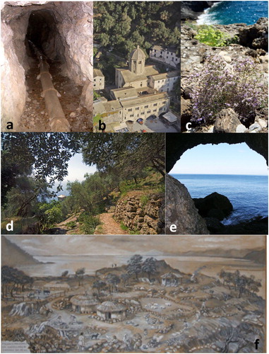 Figure 5. Natural and cultural features of tourist interest: (a) Diavolo tunnel in the Via dei Tubi track, photo by F. Faccini (see natural and cultural features list n. 48 in the Main Map); (b) San Fruttuoso Abbey complex, photo by A. Girani (n. 30); (c) Ligurian statice, photo by A. Girani (Limoniumcordatum) (n. 23); (d) Terraced slope at San Fruttuoso, photo by A. Girani (n. 43); (e) Grotta del Dragone, photo by B. Mortola (see Cave list n. 15); (f) Neolitic settlement at Castellaro site, reconstruction at the Civico Museo Archeologico di Camogli (n. 29).