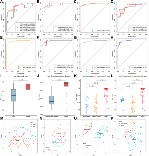 Figure 4 The diagnostic efficacy of ARG classifier in multi-transcriptome datasets. (A–H) ROC curves analyzed the diagnostic accuracy of ARG classifier in multiple datasets and time points. (A) GSE54514 datasets; (B) GSE57065 datasets; (C) GSE65682 datasets; (D) GSE69063 datasets; (E) GSE69528 datasets; (F) GSE95233 datasets; (G) GSE131761 datasets; (H) GSE154918 datasets. (I and J) Comparison of the ARG scores between sepsis and SIRS in GSE63042 datasets (I), uncomplicated Infection in GSE154918 datasets (J). p value was calculated using the Wilcoxon test. (K) Comparison of the ARG scores between sepsis, healthy control and anaphylaxis in GSE69063 datasets. p value was calculated using the Kruskal–Wallis test. (L) Comparison of the ARG scores between sepsis, healthy control and head trauma in GSE69063 datasets. p value was calculated using the Kruskal–Wallis test. (M–P) Principal component analysis based on hub ARGs to distinguish sepsis from SIRS (M), uninfected control (N), anaphylaxis (O), and head trauma (P).