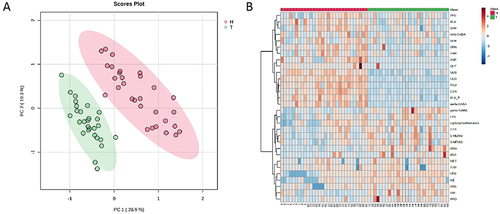 Figure 2 (A) PCA score plots (n = 30) of the healthy group and T2DM group. (B) Heat maps of normalized amino acids concentrations in serum sample. Columns represent the samples (Healthy and T2DM groups), and rows represent amino acids.