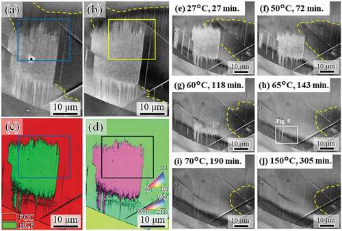 Figure 3. ECC images (a) before and (b) after slight mechanical polishing taken at RT after cooling to −51°C. (c) Phase and (d) ND-IPF maps of the same area as in (b). ECC images taken during heating at (e) 27°C, (f) 50°C, (g) 60°C, (h) 65°C, (i) 70°C, and (j) 150°C. The times indicate the total experimental time from the initiation of heating. The region highlighted by dashed lines shows a significant contrast gradient that indicates internal stress. The region highlighted by squares in (a–d) indicates the identical area used for the high-magnification observation shown in Fig. 4