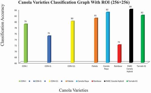 Figure 6. Canola varieties classification graph with ROI (256 ×256)