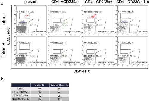 Figure 5. Purity and detergent sensitivity of extracellular vesicle populations performed using MoFlo Astrios EQ sorter. (a) Presort (first column) and post-sort phenotyping of CD41+ CD235a- (second column), CD41-CD235a+ (third column) and CD41-CD235a dim (forth column) EV subpopulations without (top row) and with Triton X100 treatment (bottom row). To make the figures more representative, all coupled pictures (before and after Triton X100) were normalized to the number of displayed events. (b) Values of the sorting purity and detergent sensitivity of EV subpopulations.