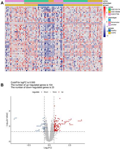 Figure 1 Screening of DEGs between COPD and healthy controls. (A) The heatmap shows the DEGs between COPD and control samples from the combined dataset of GSE37768, GSE106986, and GSE103174, with thresholds of |logFC| > 0.585 and adjusted p < 0.05. (B) Volcano plot showing up-regulated (red) and down-regulated (blue) DEGs. The top five up-regulated and down-regulated DEGs ranked by |logFC| are labeled in red and blue, respectively.