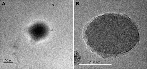 Figure 6 TEM images of (A) RIF nanoparticle and (B) IH2 nanoparticle.Abbreviations: IH2, isoniazid benz-hydrazone; RIF, rifampicin; TEM, transmission electron microscopy.